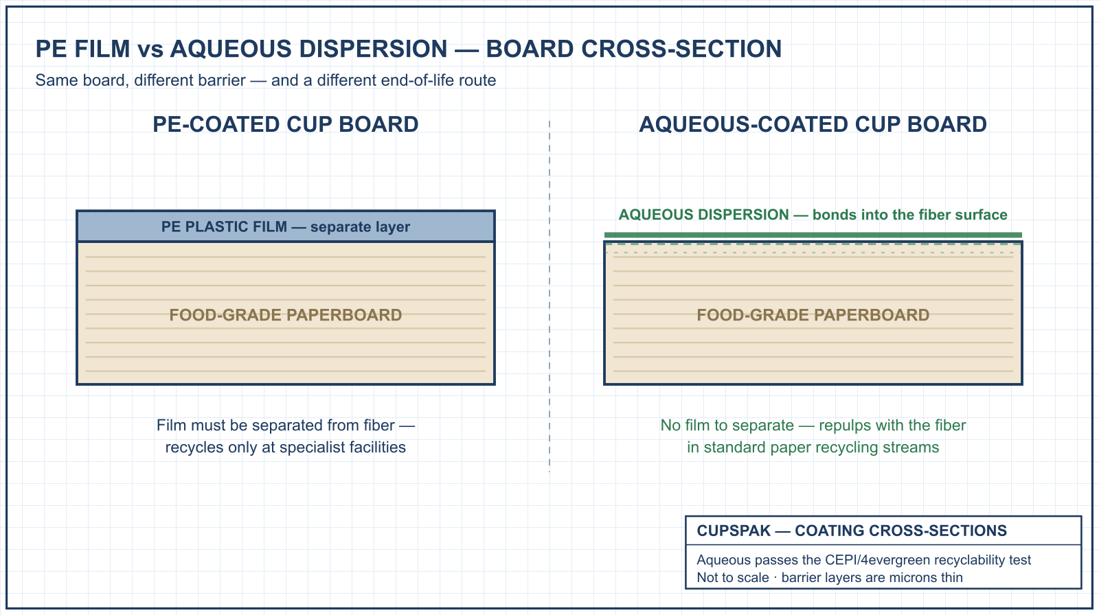 Cross-section of an aqueous coating against a PE film on paperboard, showing the dispersion sitting in the fibre rather than as a separate layer
