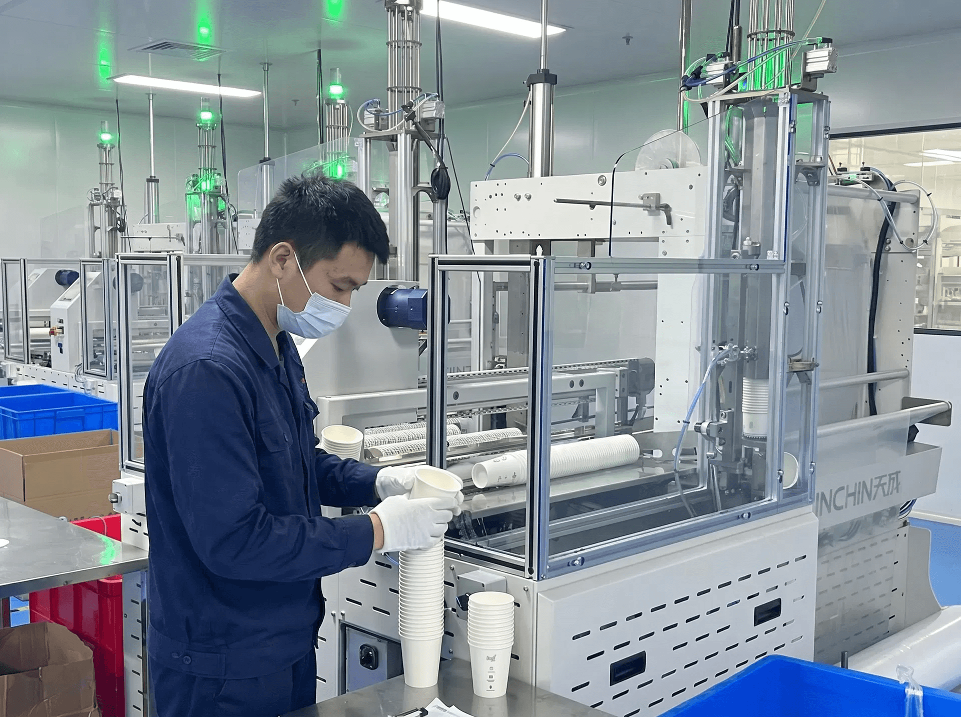 Pre-shipment quality inspection of printed paper cups on the factory floor, CupsPak quality control
