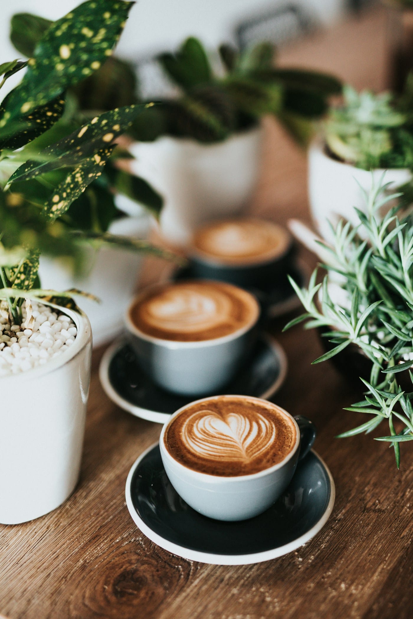 Single Wall vs Double Wall vs Ripple Wall Paper Cups: Which One Should You Choose?