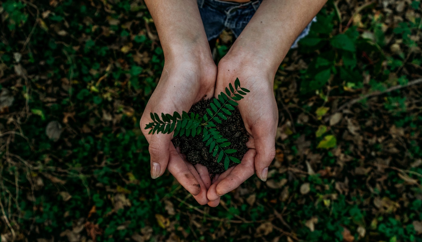What Does 'Compostable' Actually Mean for Paper Cups? EN 13432, OK Compost, and What Buyers Need to Know